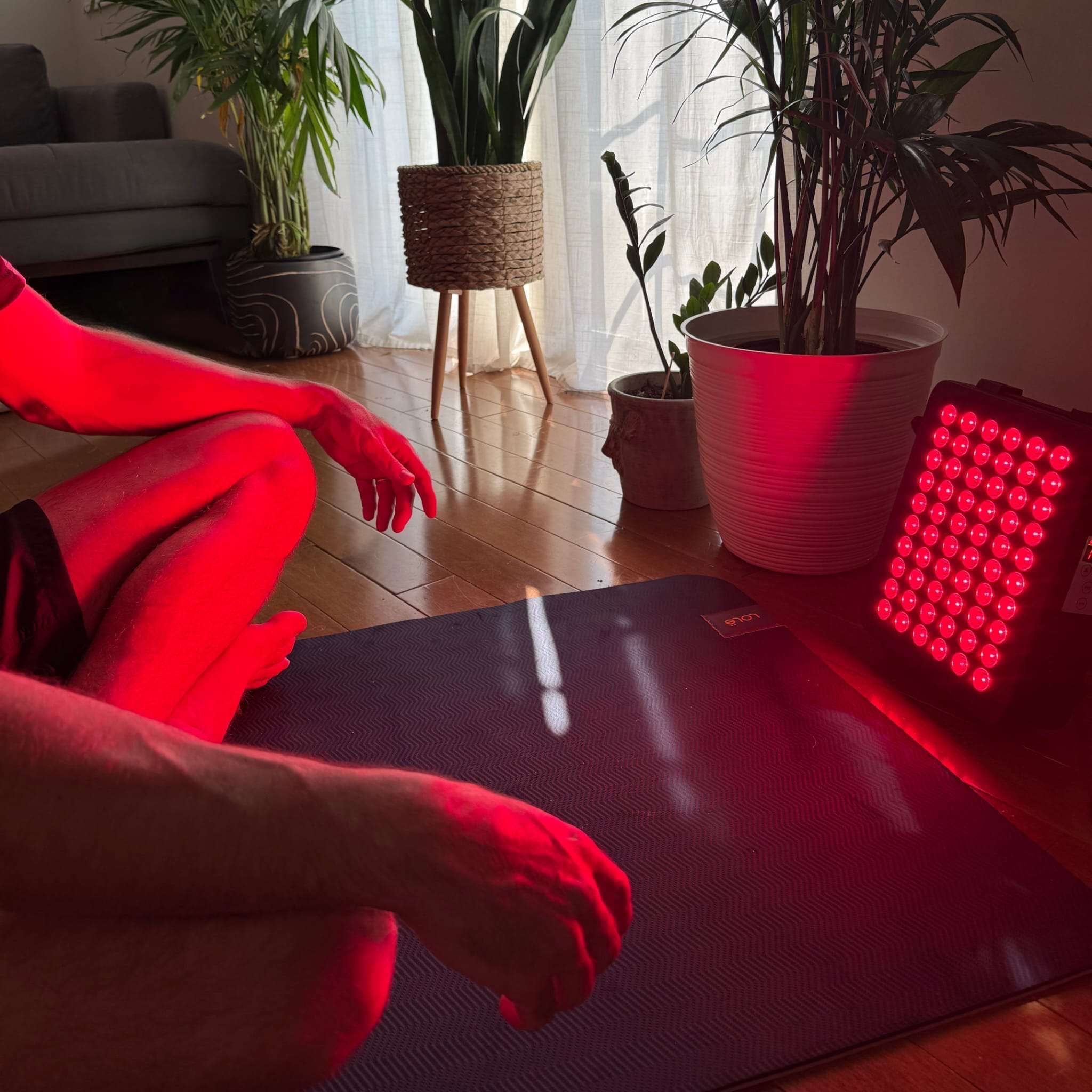 EZ-X Premium Red Light Therapy Panel